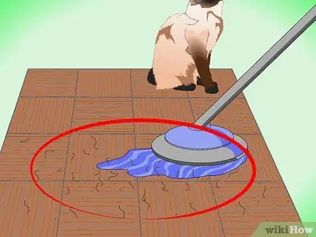 Image titled Clean Up Cat Hair Step 4