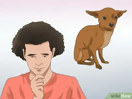 Image titled Put a Dog to Sleep Step 1