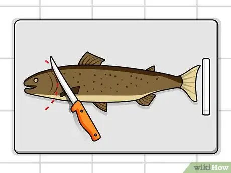 Image titled Debone a Trout Step 1