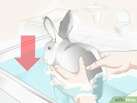 Image titled Keep Your Rabbits Cool on a Sunny Hot Day Step 15