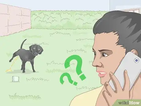 Image titled Get a Urine Sample from a Male Dog Step 11