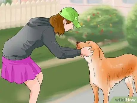 Image titled Make a Golden Retriever Stop Barking Step 10