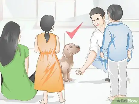 Image titled Teach Your Older Dog Basic Commands Step 7