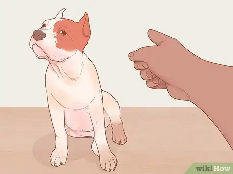 Image titled Stop Your Dog from Eating Grass Step 10