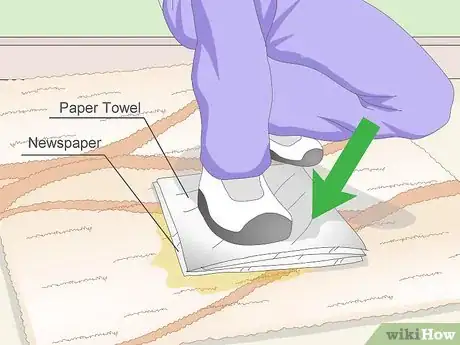 Image titled Remove Dog Urine Step 1