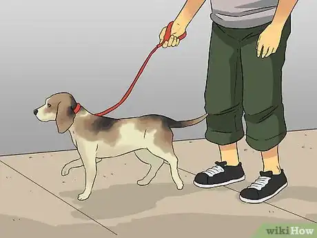 Image titled Make a Routine for Your Dog Step 9