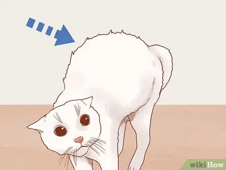 Image titled Know if Your Cat Is Afraid of Something Step 5