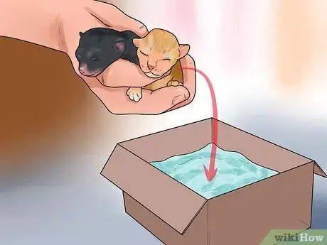 Image titled Take Care of Premature Newborn Kittens Step 2