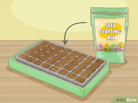 Image titled Plant Seeds in a Basic Seed Tray Step 5