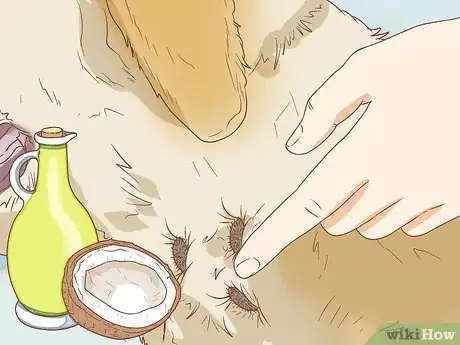 Image titled Remove Sticky Barbed Seeds from Your Dog's Fur Coat Step 3