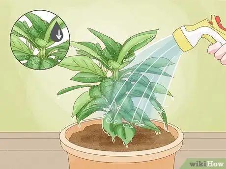 Image titled Revive a Plant Step 8