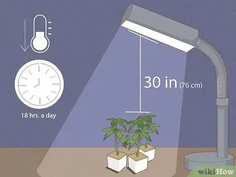 Image titled Clone Cannabis Step 9