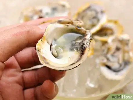 Image titled Shuck Oysters Step 13