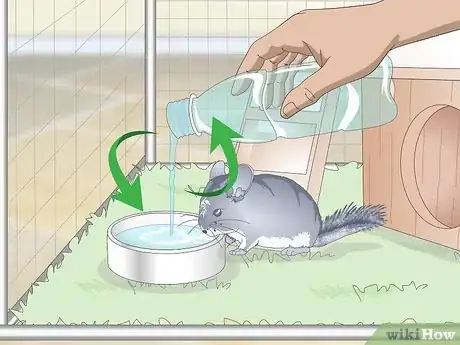 Image titled Care for Chinchillas Step 13