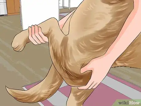 Image titled Make Your Labrador Retriever Happier Step 10