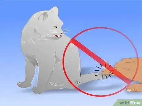 Image titled Care for Physically Abused Cats Step 17