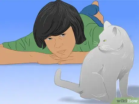 Image titled Care for Physically Abused Cats Step 14