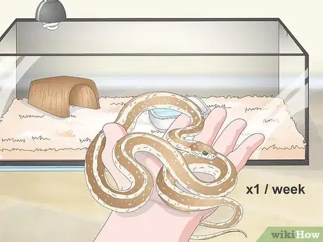 Image titled Take Care of a Garter Snake Step 14