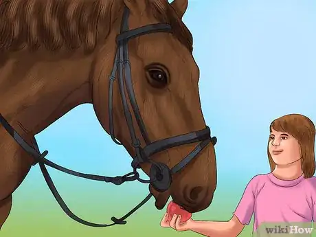 Image titled Hand Feed a Horse Step 4