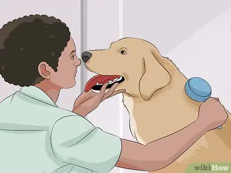 Image titled Become a Dog Groomer Step 11