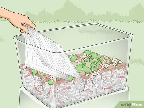 Image titled Make a Worm Farm Step 18