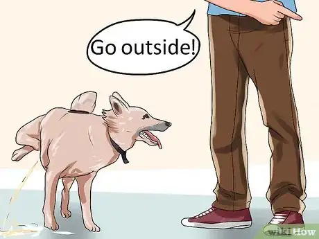 Image titled Train a Dog to Pee Outside Step 11