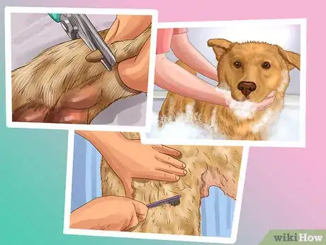 Image titled Be a Responsible Dog Owner Step 22