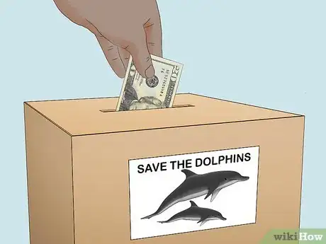 Image titled Save Dolphins Step 10