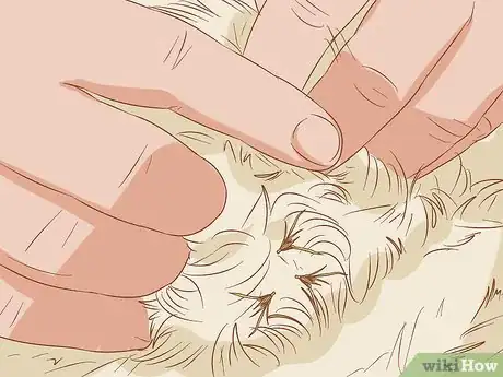 Image titled Remove Sticky Barbed Seeds from Your Dog's Fur Coat Step 6