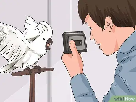 Image titled Teach Your Bird to Talk Step 10