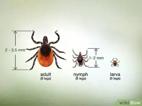 Image titled Identify a Deer Tick Step 2