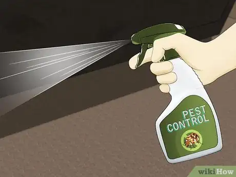 Image titled Get Rid of Carpet Beetles Step 5