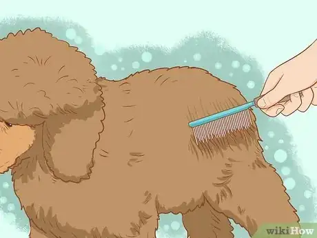 Image titled Brush a Poodle Step 5