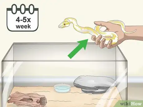 Image titled Build a Relationship with Your Snake Step 11