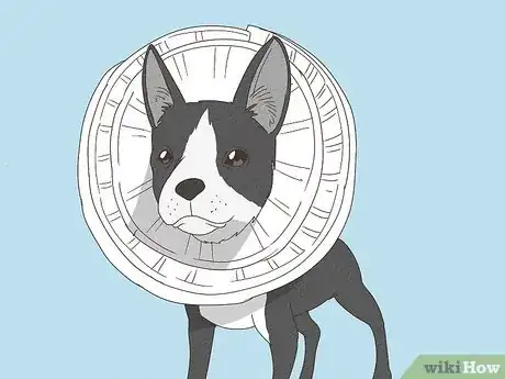 Image titled Make a Dog Cone Step 2