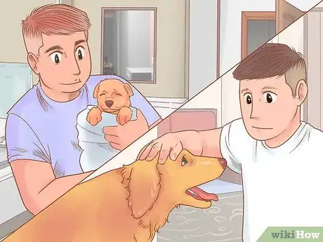 Image titled Know if Your Dog Likes You the Best Step 8