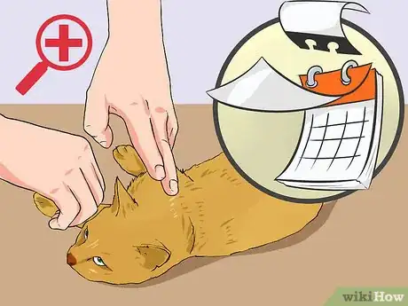 Image titled Clean a Cat Wound Step 14