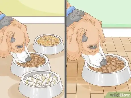 Image titled Get a Dog to Eat Step 14