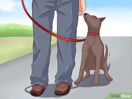 Image titled Teach Your Dog Basic Commands Step 19