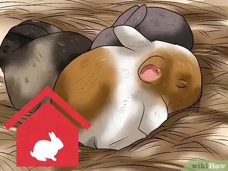 Image titled Make Sure Your Rabbit Has the Best Life You Can Give It Step 5