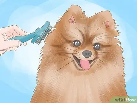 Image titled Solve Your Dog's Skin and Scratching Problems Step 12