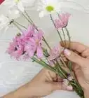 Make a Daisy Chain