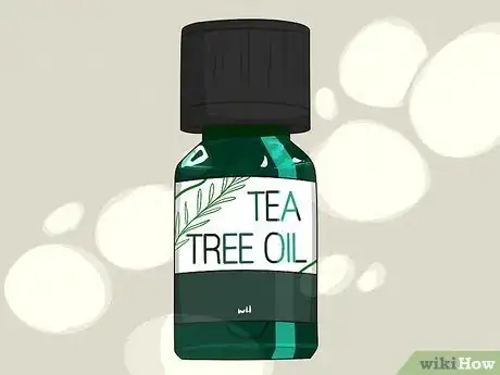 Image titled Remove Lice Using Tea Tree Oil Step 1