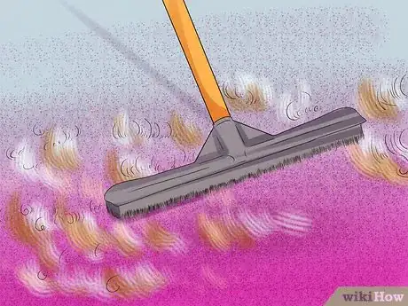 Image titled Clean Carpets Step 5