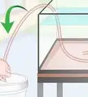 Start a Siphon (Fish Tank)