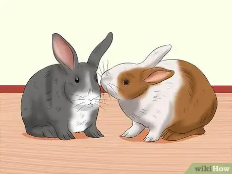 Image titled Entertain Your Rabbit Step 12