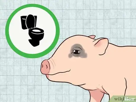 Image titled House Train a Pig Step 10