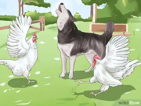 Image titled Train a Dog to Protect Chickens Step 15