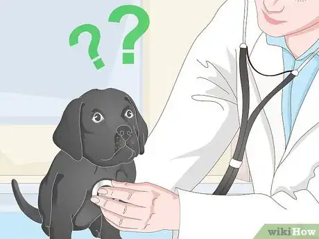 Image titled Get a Puppy to Sleep Step 10