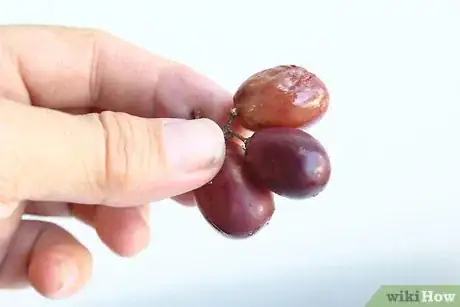 Image titled Keep Grapes Fresh Step 4